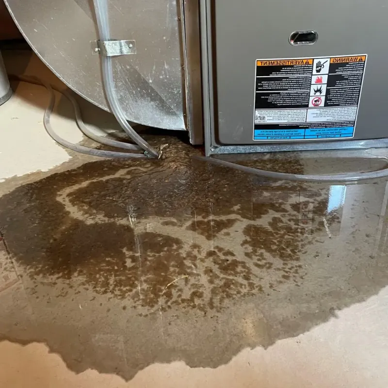 Pipe Burst and Leak Restoration in Fillmore, UT